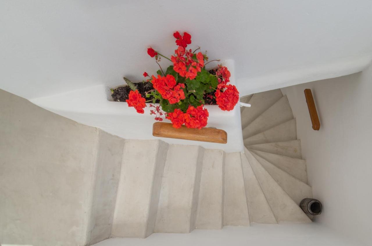 Lasia Boutique Apartment Ándros Extérieur photo